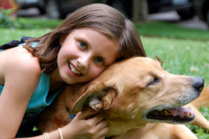 Dog being cuddled by owner