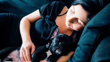 Dog cuddling a human