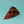 Halloween Plaid Dog Bandana