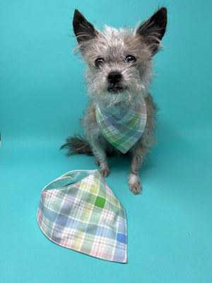 Matching Dog Bandana and Baby Bib- Spring Pastel - The Woof Warehouse