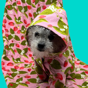 Matching Dog and Human Pajama Lounge Wear - The Woof Warehouse