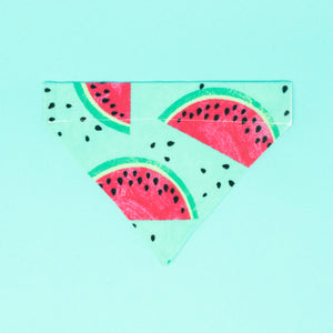 Watermelons Dog Bandana - The Woof Warehouse