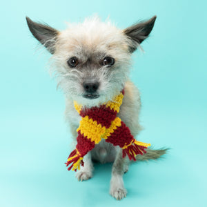 Striped Wizard Dog Scarf (Inspired by Harry Potter) - The Woof Warehouse