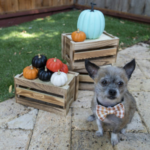 Thanksgiving Plaid Bow Tie - The Woof Warehouse