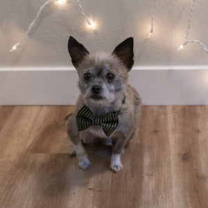 Christmas Stripes Bow Tie - The Woof Warehouse