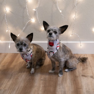 Christmas Bandanas - The Woof Warehouse