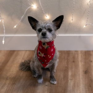 Christmas Bandanas - The Woof Warehouse