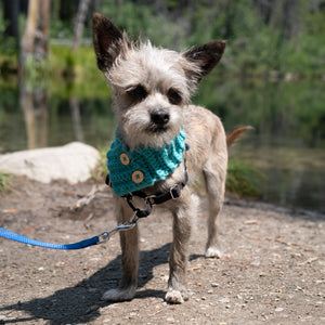 Dog Cowl Scarf - The Woof Warehouse