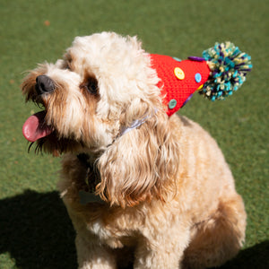 Dog Party Hat - The Woof Warehouse