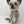 Load image into Gallery viewer, Dog Necktie - The Woof Warehouse
