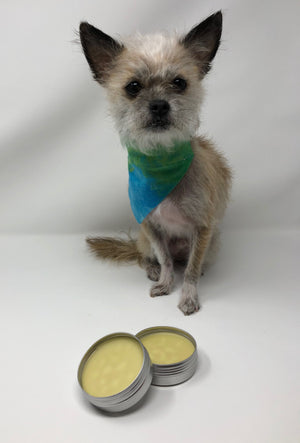 Watson's Pawesome Paw Balm - The Woof Warehouse