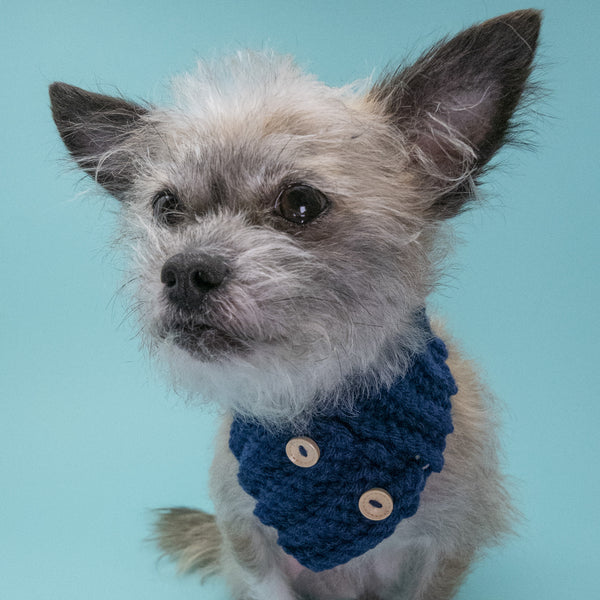 Dog Cowl Scarf - The Woof Warehouse
