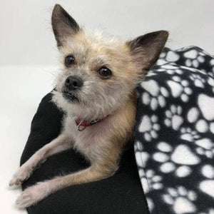 Burrow Dog Bed - The Woof Warehouse