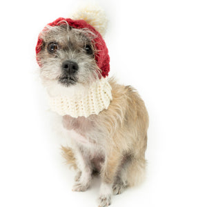 Dog Santa Hat - The Woof Warehouse