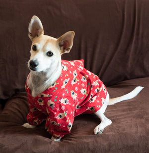 Matching Dog and Human Pajama Lounge Wear - The Woof Warehouse