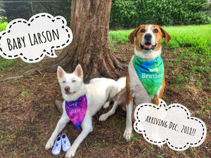 Embroidered Personalized Dog Bandanas - The Woof Warehouse