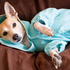 Dog Coat Pajamas - The Woof Warehouse