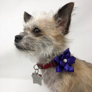 Ribbon Flowers - The Woof Warehouse