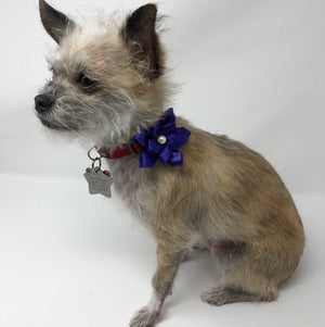 Ribbon Flowers - The Woof Warehouse